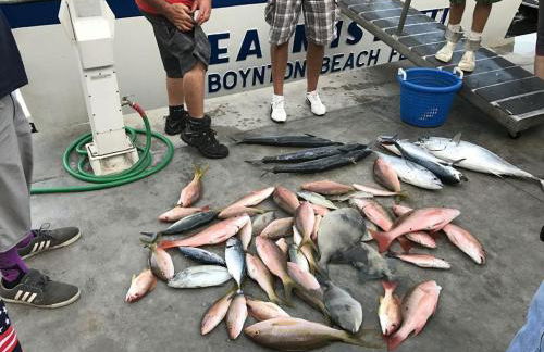 Seashell 3 - Seasonal Rental - Foto 35