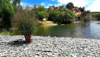 Casa das Bonecas - Foto 4