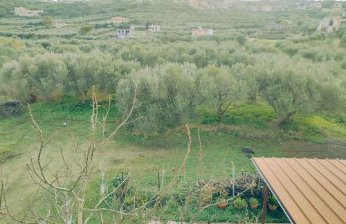 Archanes Nature Retreat Residence - Foto 17