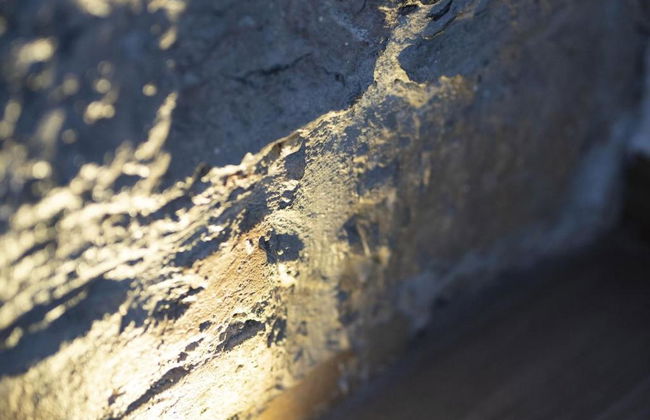 Affittacamere Superior Golfo 5 Terre - Foto 96