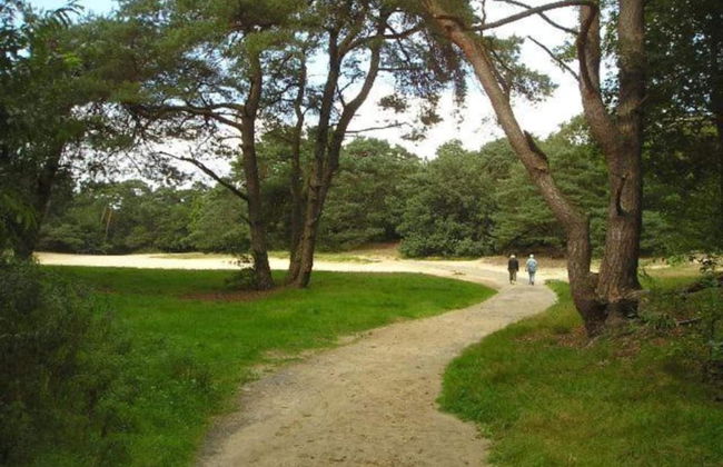 Tranquil Retreat in Appelscha - Foto 29