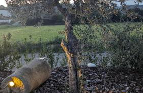 MASIA CLOTATS - Photo 33