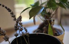 Gîte la Doucette proche des Cascades - Photo 9