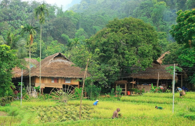 Thai House Pu Luong - Foto 48