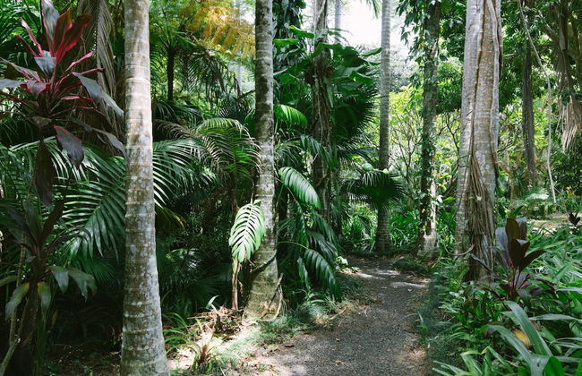 Sanctuary in The Pocket - Foto 65