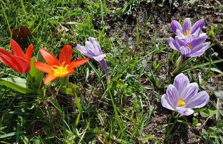 Casa del Puiat - Foto 16