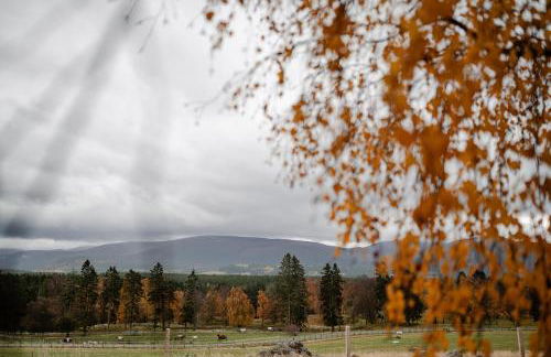 Garradh Cottage - Seasgair Lodges - Foto 8