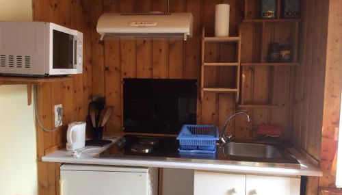 studio ensoleillé avec jardin pour 2 à Monêtier - Photo 4, stove