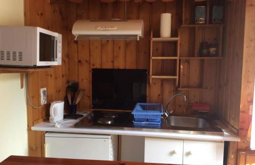 studio ensoleillé avec jardin pour 2 à Monêtier - Photo 4