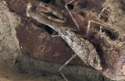 Fishers Of Men Ranch Home - Photo 43