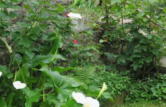 Bellagio Lake View Villa - Foto 13