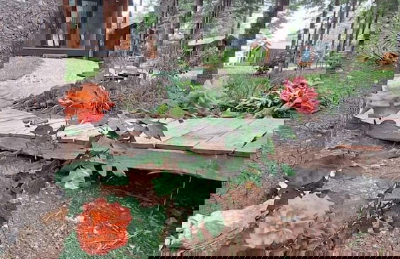 Tumba Sisli Vadi - Foto 76