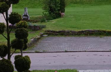 Ferienwohnung Waldlichtung - Foto 17