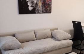 Adina Oase - Photo 1