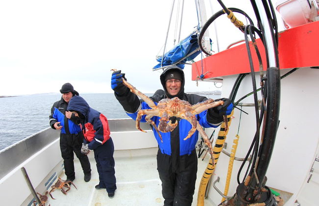 Nuorgam Holiday Village - Foto 30