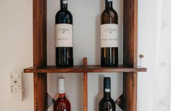 Altes Häusle am Waschbach-Weinstock - Foto 15