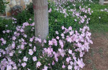 Monica's Country House - Foto 42