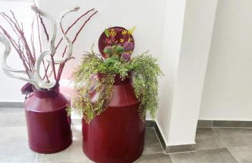 Pinheiro de Monsaraz-Casas da Colmeia T2 - Foto 1