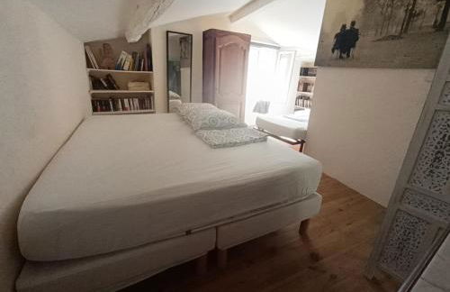 Le Real dans le quartier historique proche des cascades des Carmes - Foto 8