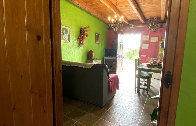 Lo Racó de Peret - Foto 80