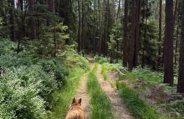 Naturhof Kluge - Foto 71