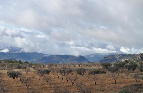 El Palomar de Peñarrubia - Foto 24