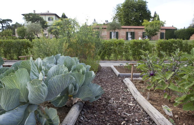 Resort Borgo Syrah - Foto 72