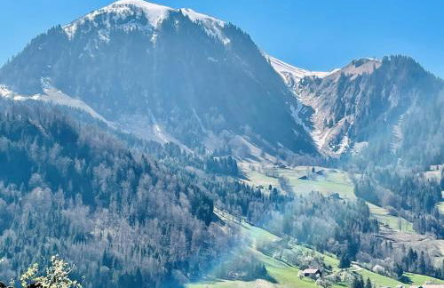 Chalet & Spa 5 stars Alpaga - Photo 32