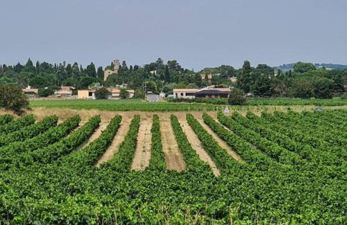 Diamond - Gîte dans vieux prieuré près de Carcassonne - Foto 16
