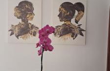 VILLA La TOSCA - Foto 17