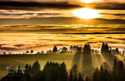 Fewo Sunneschii, Höchenschwand, Dorf am Himmel, Sauna im Haus - Foto 26