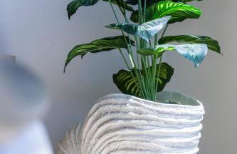 L'Offshore - Foto 64