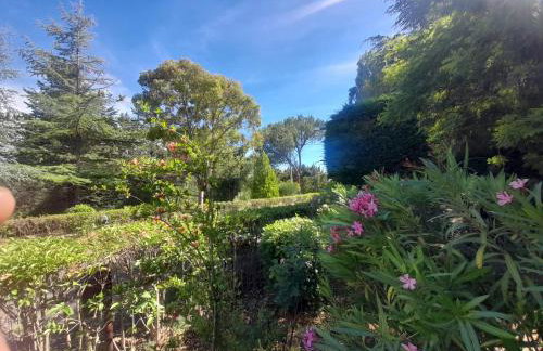 Villa Rosa - Foto 19