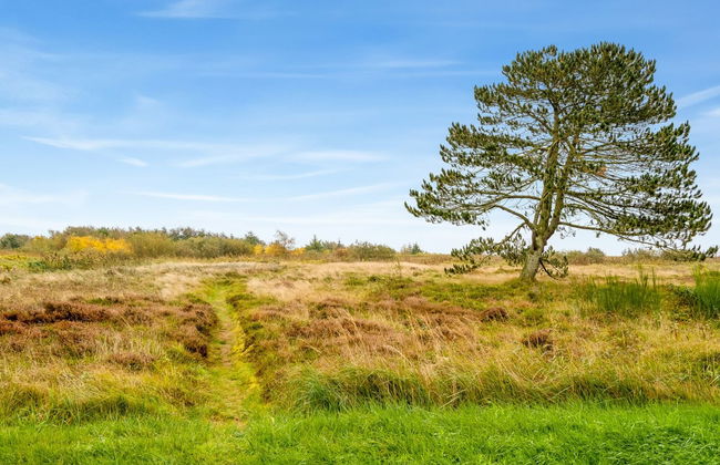 "Hejdie" - 150m from the sea - Foto 4