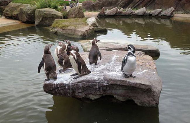 2 Bed Barn Alton Towers Xmas Markets Chatsworth - Foto 9