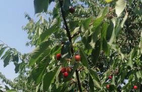 Vercelli suite - Foto 17