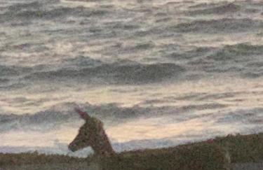 Bodega Bay Magical Ocean Front w/Amazing View! - Foto 50