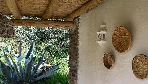 Cortijo La Viñuela - Foto 3