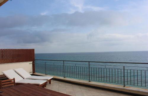 Les Agrumes - Foto 13