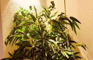 LOFT CON SPA PRIVATA - Foto 13