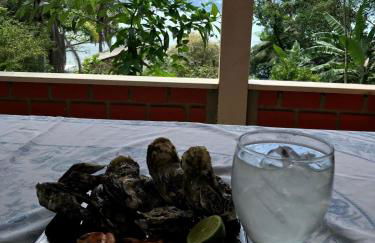 Encanto dos Pássaros - Foto 37