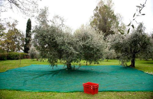 Punta Del Corno Agriturismo - Foto 25