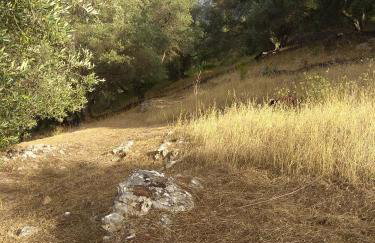 Efi Loutses - Foto 37