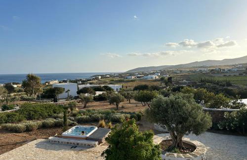 ELEONAS Paros estate - villas with partially private pools & professional tennis court - Foto 10