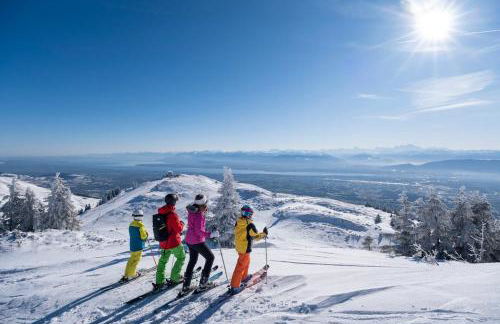 Montagne - Vue Pistes Rando VTT - Foto 12