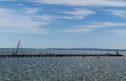 Jardim de Copas - Foto 39