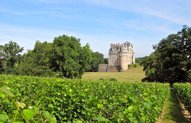 Le Clos Saint Michel - Foto 25