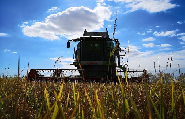 Agriturismo Greppi - Foto 22