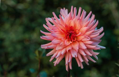 Quinta do Charco - Photo 59