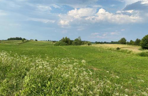 Dom całoroczny nad jeziorem Brajnickim - Photo 8
